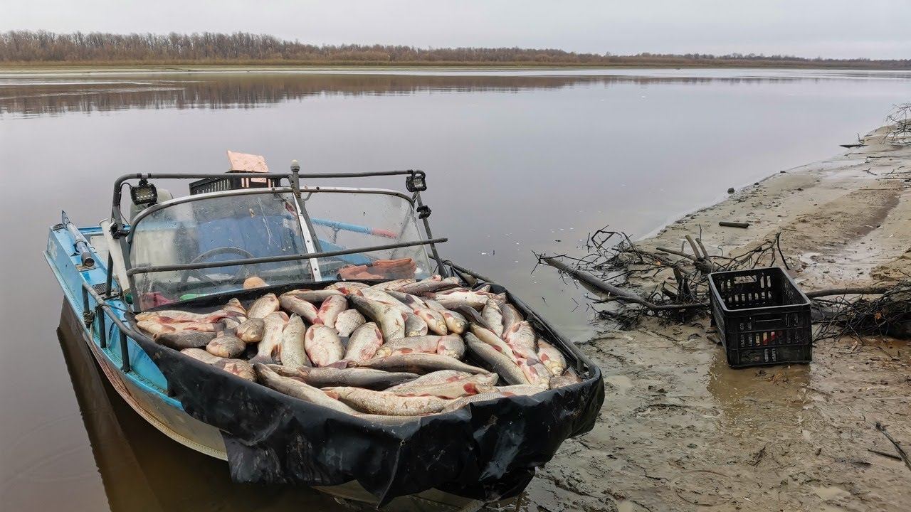 Рыбалка На Сети! Полные Сети рыбы! (Ночная Рыбалка) смотреть онлайн
