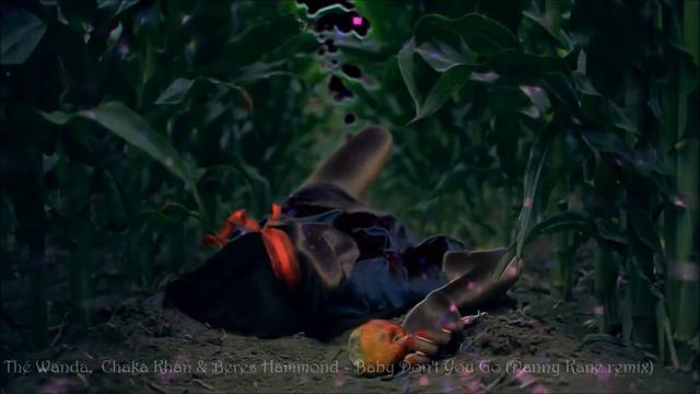 The Wanda, Chaka Khan & Beres Hammond - Baby Don't You Go (Danny Kane Remix) смотреть онлайн