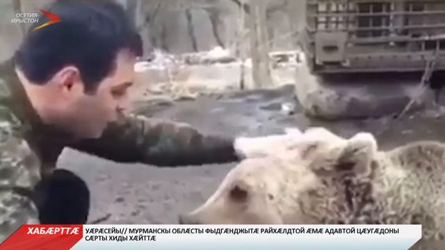 Цæгат Ирыстоны цæрæг арсы сæрмахуыр кодта смотреть онлайн