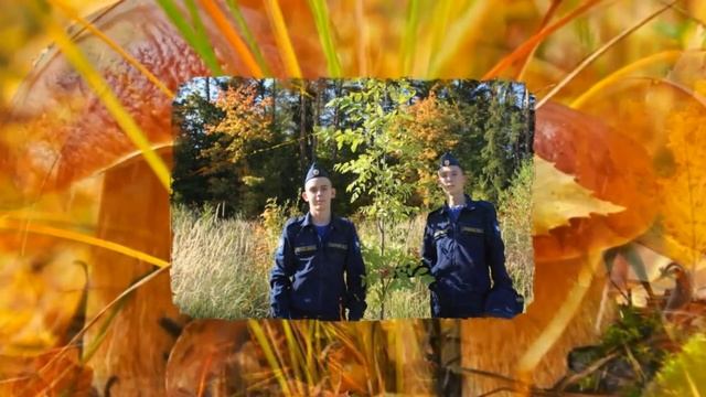 Акция "Наш лес. Посади свое дерево" смотреть онлайн