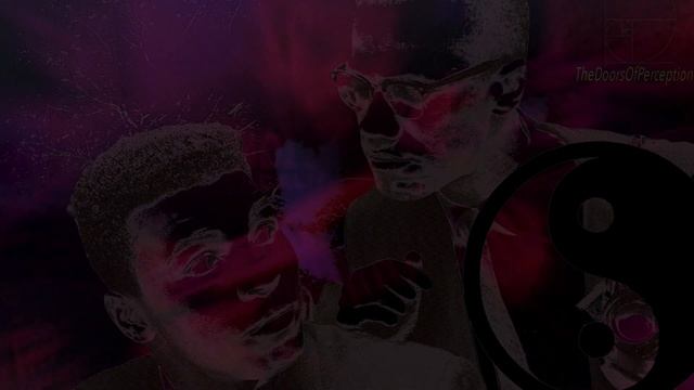 CATHARSIS- Wise in Ignorance (Build to Grow) смотреть онлайн
