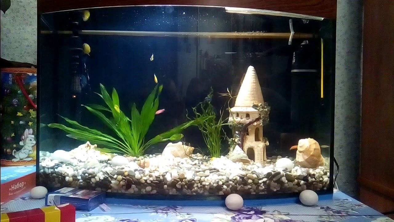 8 ноября 2017 г. смотреть онлайн