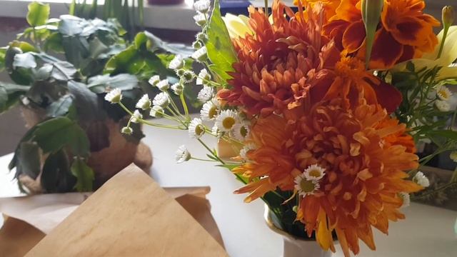 Наготовили🥘🥞/Моя еда за день🍽 смотреть онлайн