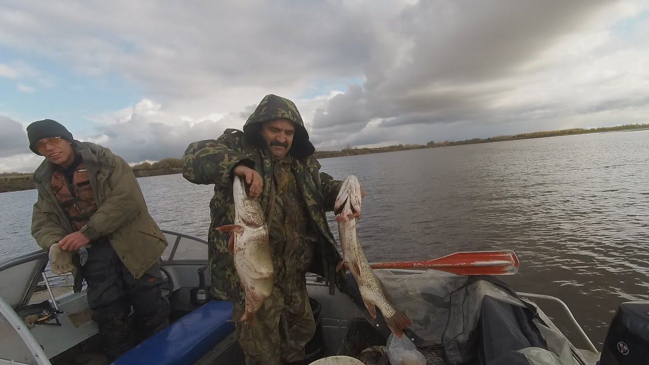 Рыбалка с ночевкой на ЗВЕРЬ-ЩУКУ, мастер класс по разделке ЩУКИ! смотреть онлайн