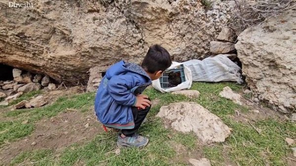 "The last chance for a single mother and her children before the rain and storm"