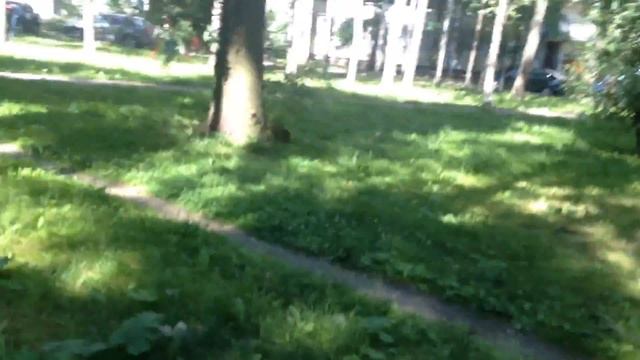 LOST #9 НИКТО! смотреть онлайн