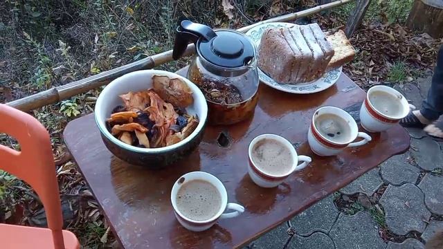 Снова в Парнауте смотреть онлайн