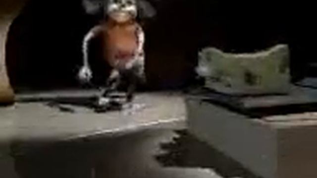 Rata Tuyt