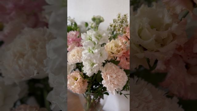 🤍#shorts смотреть онлайн