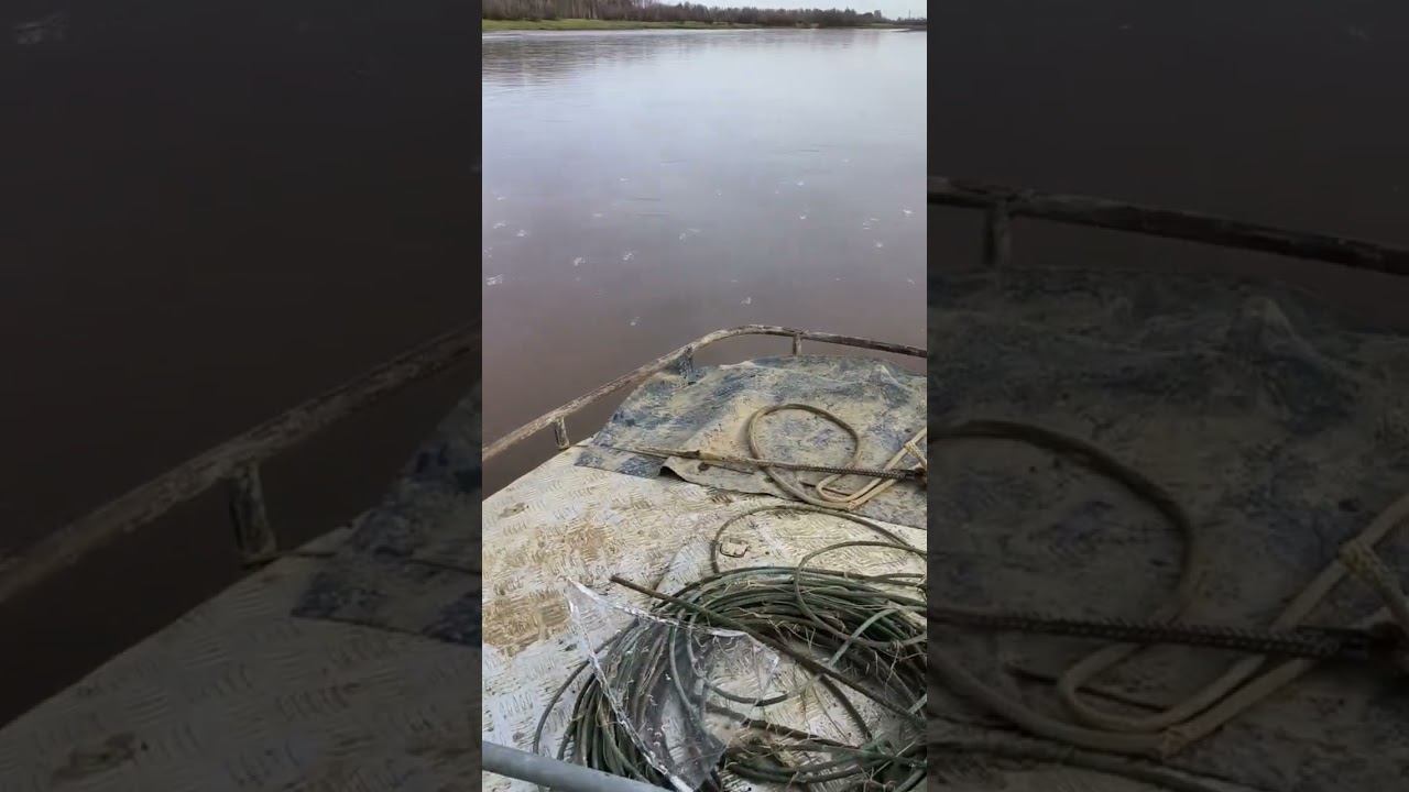 Прекрасное морозное утро на рыбалке. Рыбалка на Язя! #река #рыбалка #мороз #язь #природа #утро #рыба