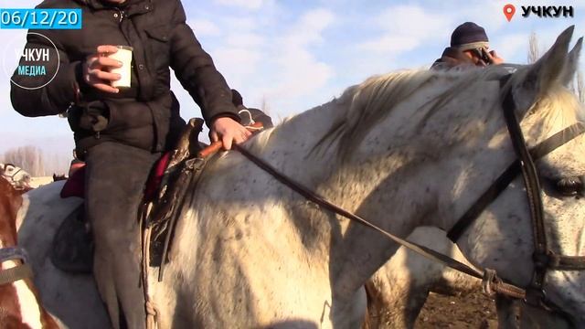 УЧКУН МАЛ БАЗАРЫНДА ЖЫЛКЫ БААЛАРЫ КАНДАЙ? смотреть онлайн
