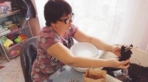 Подарок/пион травянистый Сорбет/как сохранить до высадки на садовый участок/🌸