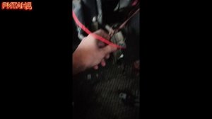 ваз 2115 не заводится, не включается бензонасос, Причины и Решения.  РИТАНД.