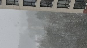 охота на это 3 часть.