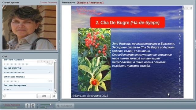 03 05 2015 SkinnyBodyCare - презентация продуктов - спикер Татьяна Лисичкина смотреть онлайн