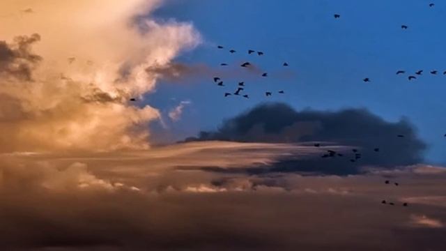 Ангел песня Аллегрова и Лепс смотреть онлайн