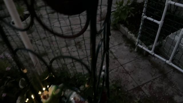 Летняя сказка смотреть онлайн
