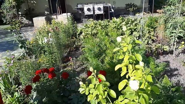 НА ВХОДЕ ВО ДВОР- НАШЛА ПОДКЛАД смотреть онлайн