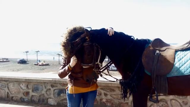 AMR DIAB Tamally Maak