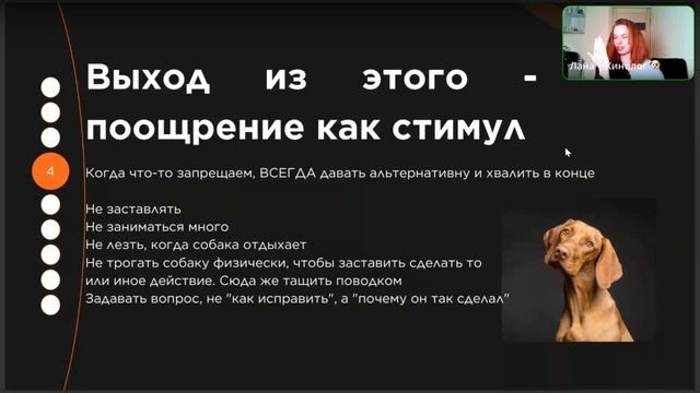 Как мотивировать собаку и себя на новые задачи? Как понять свою истинную мотивацию? смотреть онлайн