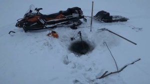 24. Зимняя рыбалка на Севере. Улов налима и установка нового перемёта на Енисее. 08.12.2022