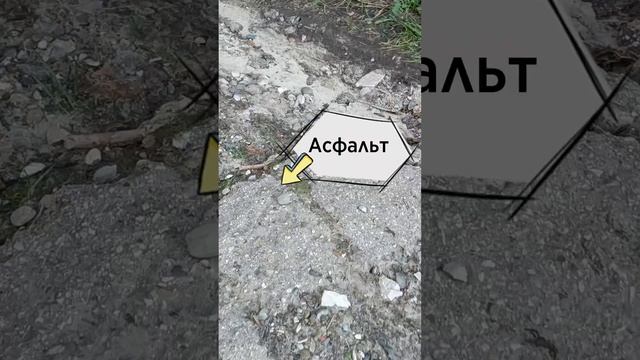 Типичный эльф и «новая» дорога #мд_писатель #юмор #эльфы #фэнтезикниги #книги #буктюб смотреть онлайн