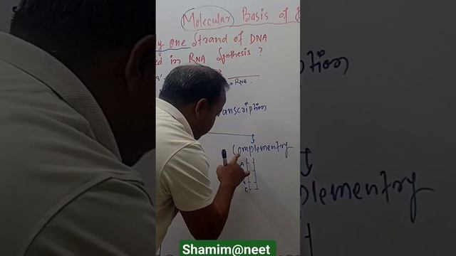 DNA Single Strand Involved in RNA Synthesis #molecular bio смотреть онлайн