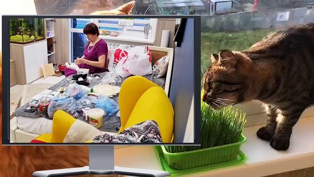 Отключил маме Ютуб. Обзор Saveliy Ad