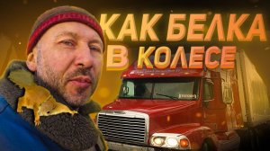 Золотой мост в ночном Владивостоке.