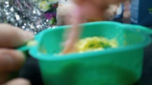 ﹤﹤﹥﹥ свинка Реборн ﹤﹤﹤/ 
Утро и день со свинкой Нюшей 🫶