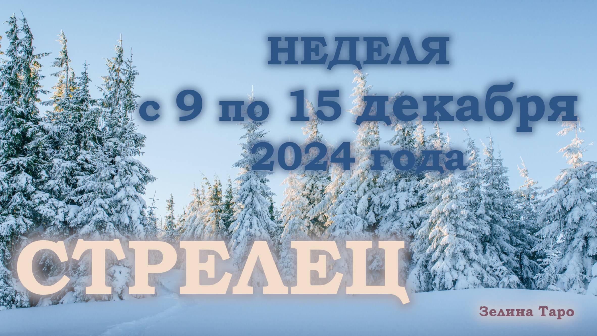 СТРЕЛЕЦ | ТАРО прогноз на неделю с 9 по 15 декабря 2024 года