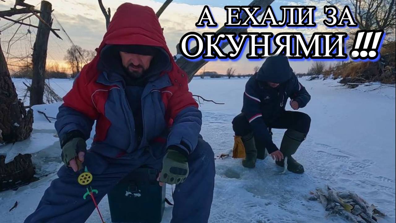 ЕХАЛИ ЗА ОКУНЯМИ, А ТАМ !!! Рыбалка на хищника 5 декабря 2024г смотреть онлайн