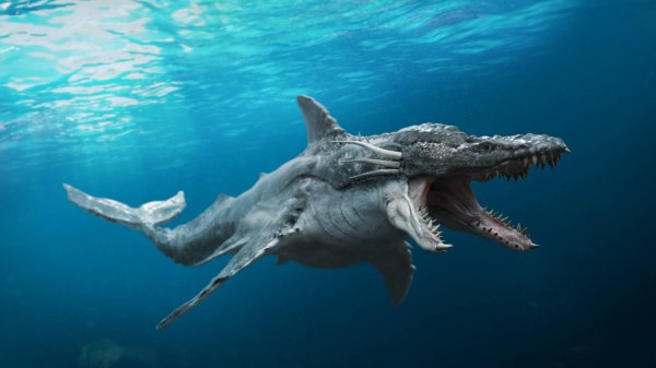 Морской дракон.