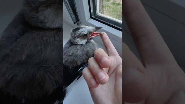 11 июня 2022 г. смотреть онлайн