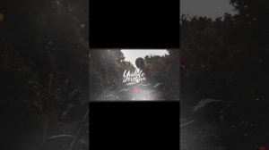 Мой руки не крылья да и люди не птицы я лечу выше просто чтобы разбиться!!!!!!