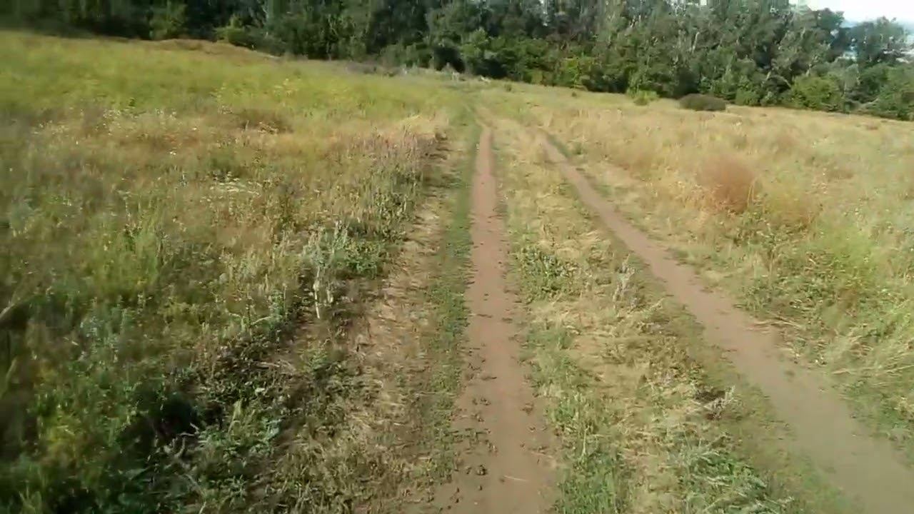 25 июля 2024 г. Рассуждения про экологию.