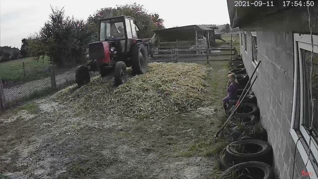 привоз силосу на ферму🚜 | розкладання || бактерії || трабовання , ЧАСТИНА 3 смотреть онлайн