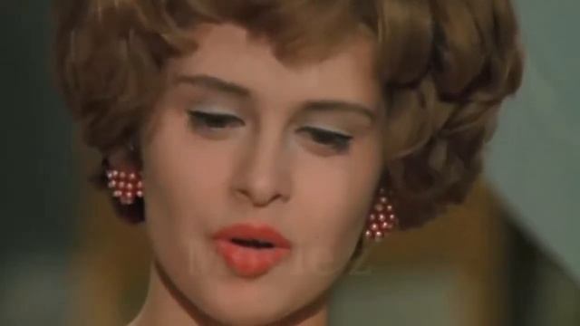 Paprika Review | @Mr & Mrs Explainer