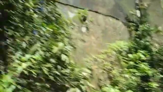 Costarica Farfalle #3 смотреть онлайн