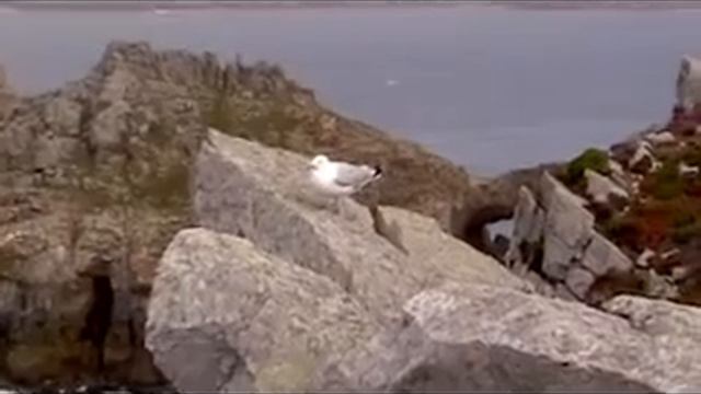 Breizh new video - Presquil'le de Crozon смотреть онлайн