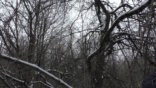 ЧТО МОЖНО НАЙТИ В БРОШЕННОМ САДУ!? И вот что мы нашли! ХОРОШИЕ НАХОДКИ! смотреть онлайн