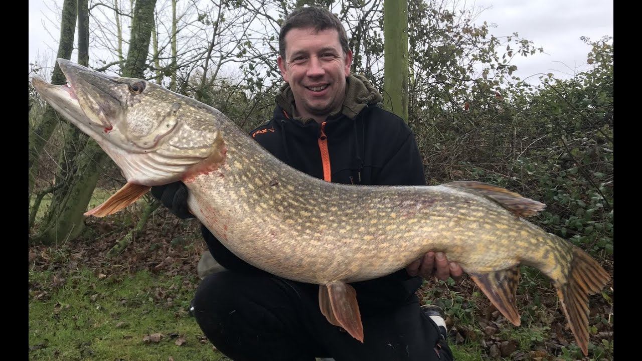 Рыболовная Экспедиция за Крупной МонструозноЙ ЩУКОЙ! смотреть онлайн
