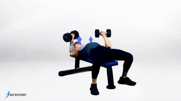 Barbell Bench Press ALTERNATIVE - Flat Dumbbell Press