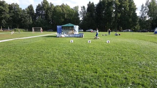 00006 смотреть онлайн