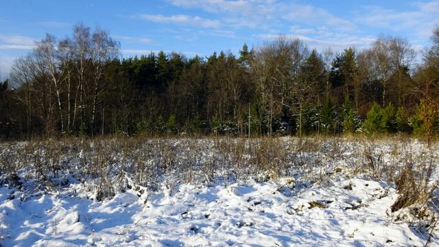 Декабрь 2024 года