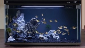 разбор аквариума Xiaomi