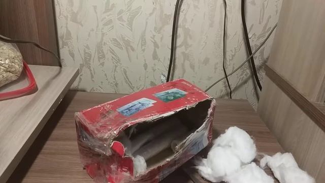 Посылка с муравьями смотреть онлайн