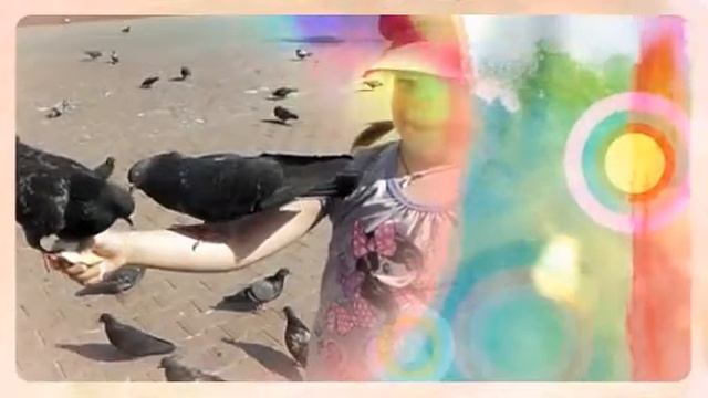 Лето. Солнце. Птицы.  (Created With @Magisto)