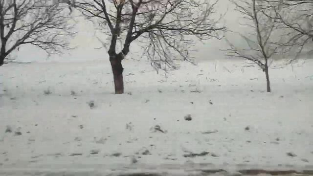 Встретилась с Розой! Готовлю ленивые голубцы,тортик лимонный. смотреть онлайн