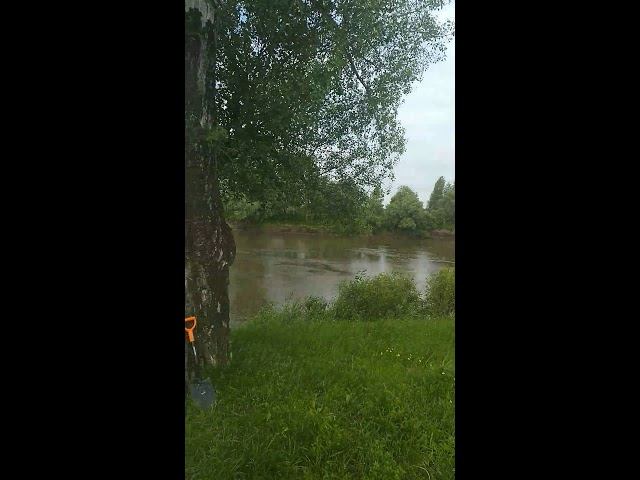 Утро, Рыбалка, отдых! смотреть онлайн